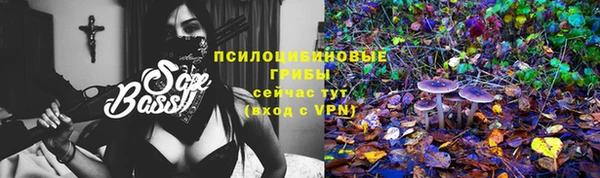 эйфоретик Покачи