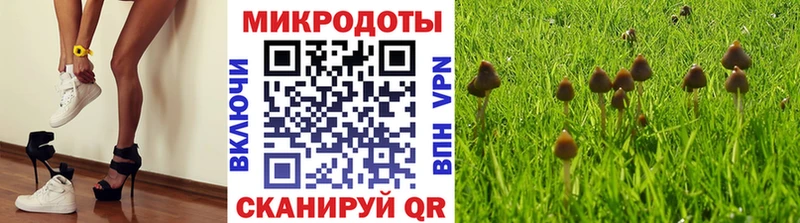 мега ссылки  магазин продажи наркотиков  Кораблино  Галлюциногенные грибы мухоморы 